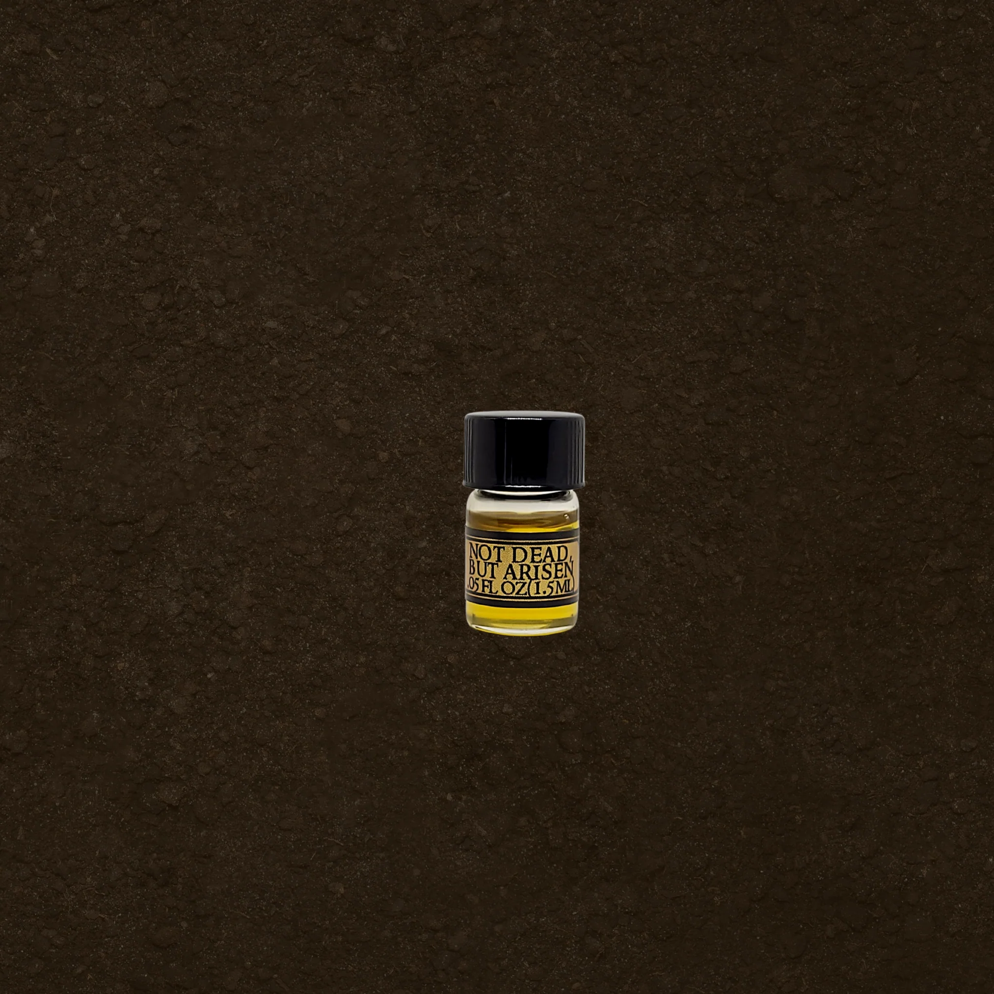 Not Dead, but Arisen - Image 6