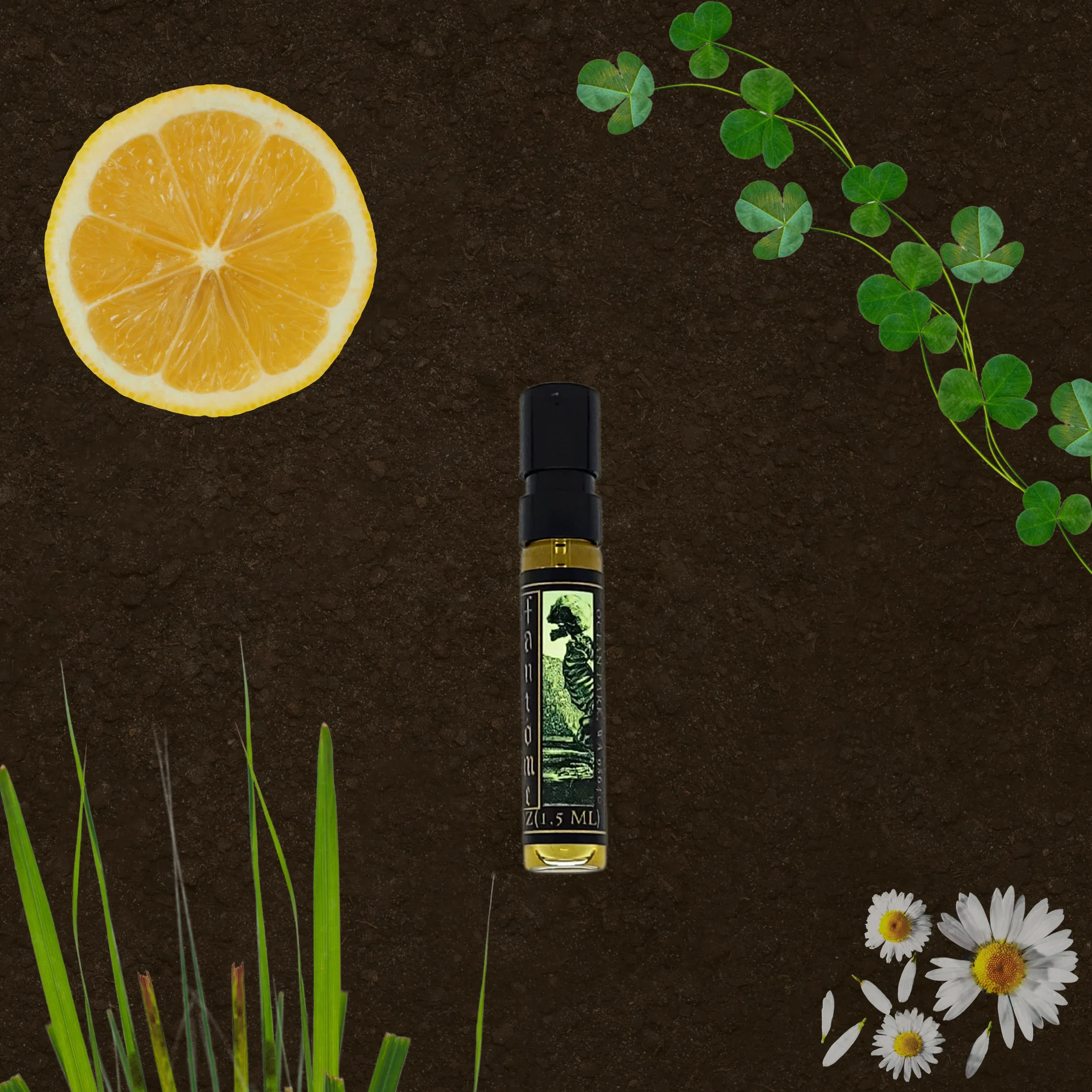 Not Dead, but Arisen Extrait de Parfum - Image 8